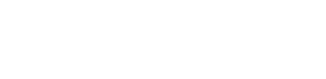 logo web evotion blanc