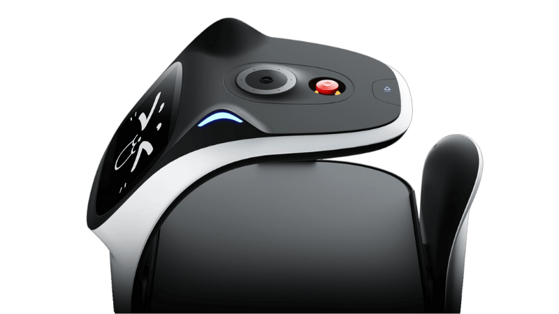 BellaBot_profil BellaBot pro robot serveur au visage de chat