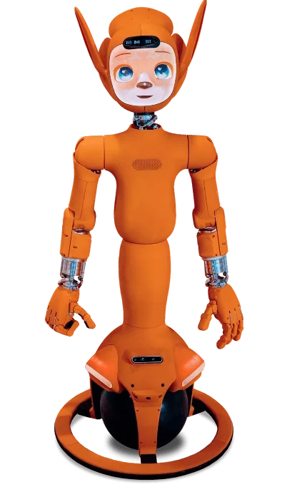 miroka robot accueil