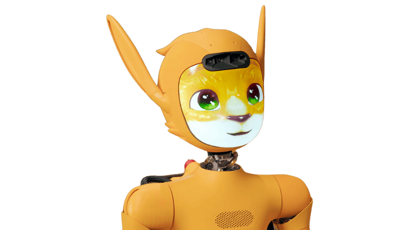 miroka-robot-humanoide-ia