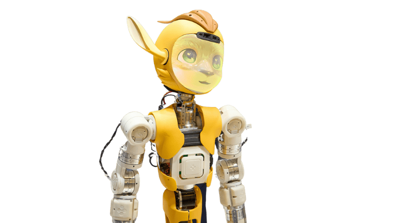 robot-humanoide-miroka Miroka le robot humanoide haut de gamme