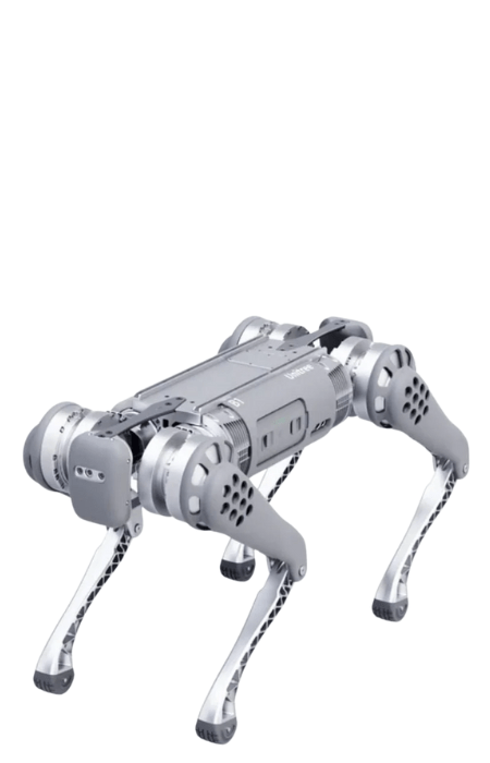 robot chien location