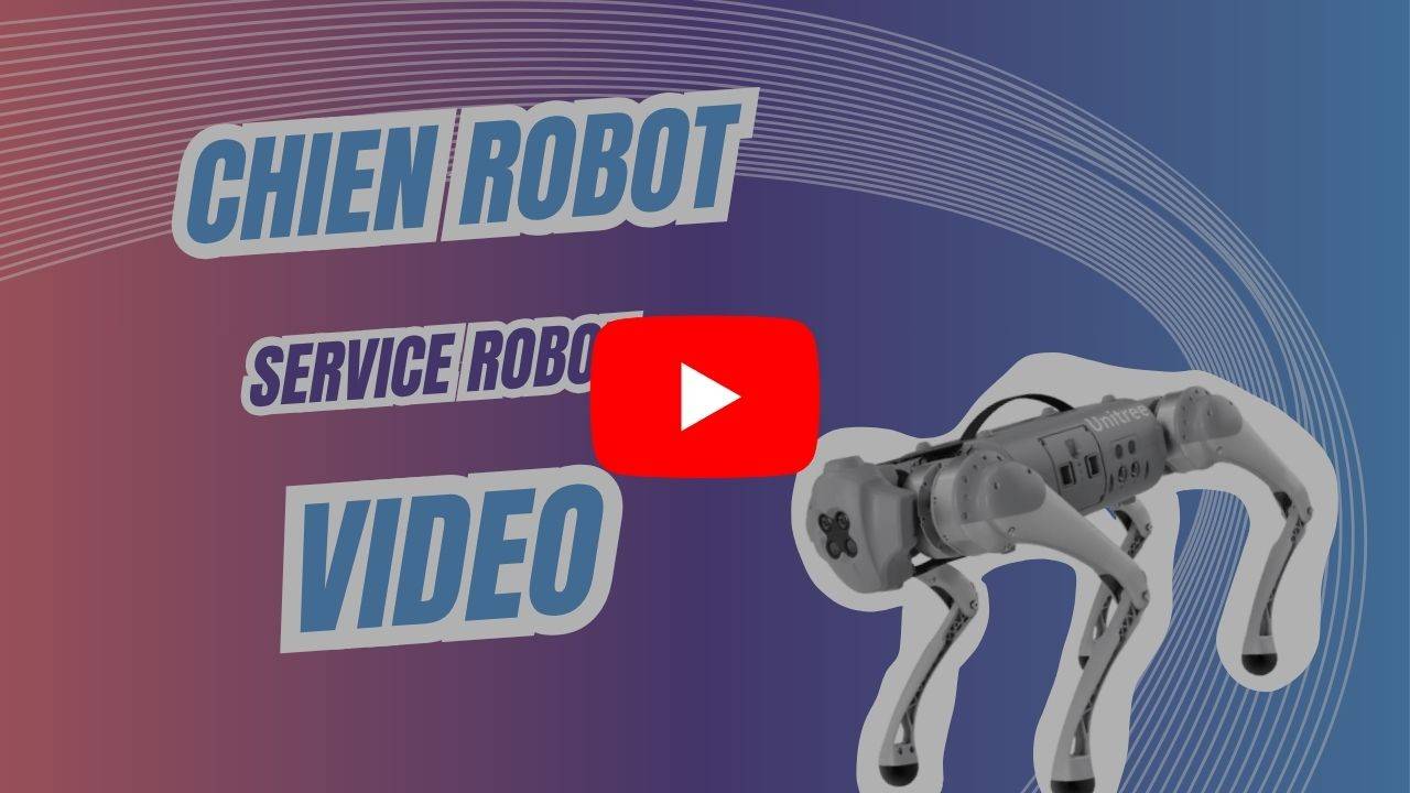 lire la video Robot chien